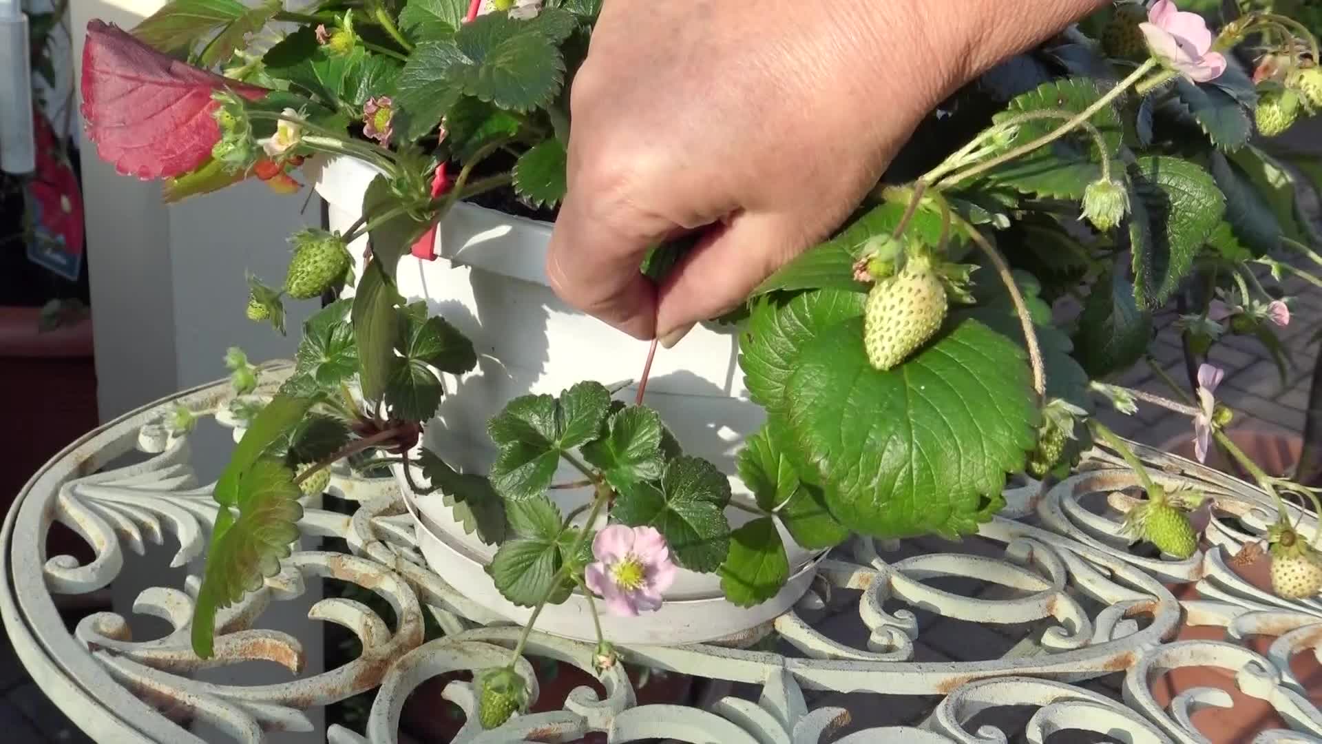 Produktabbildung 2