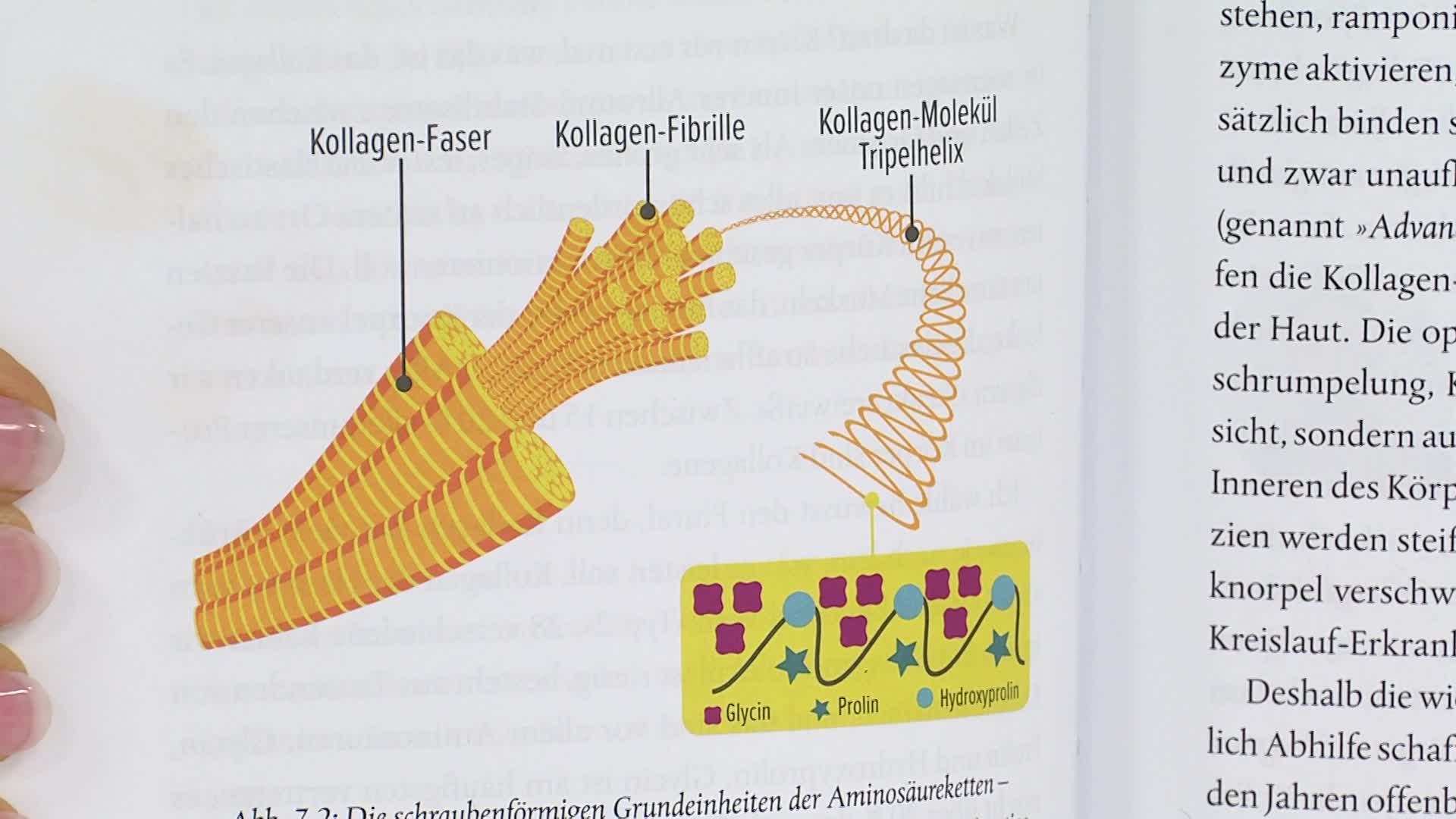 Produktabbildung 5