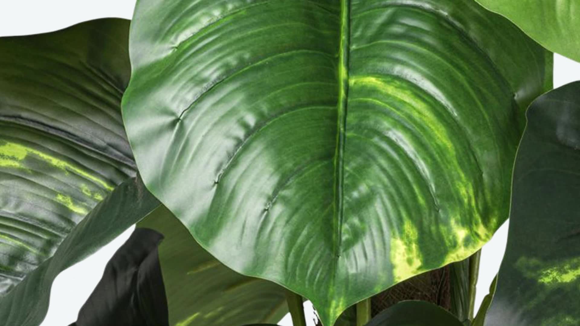 Produktabbildung 3