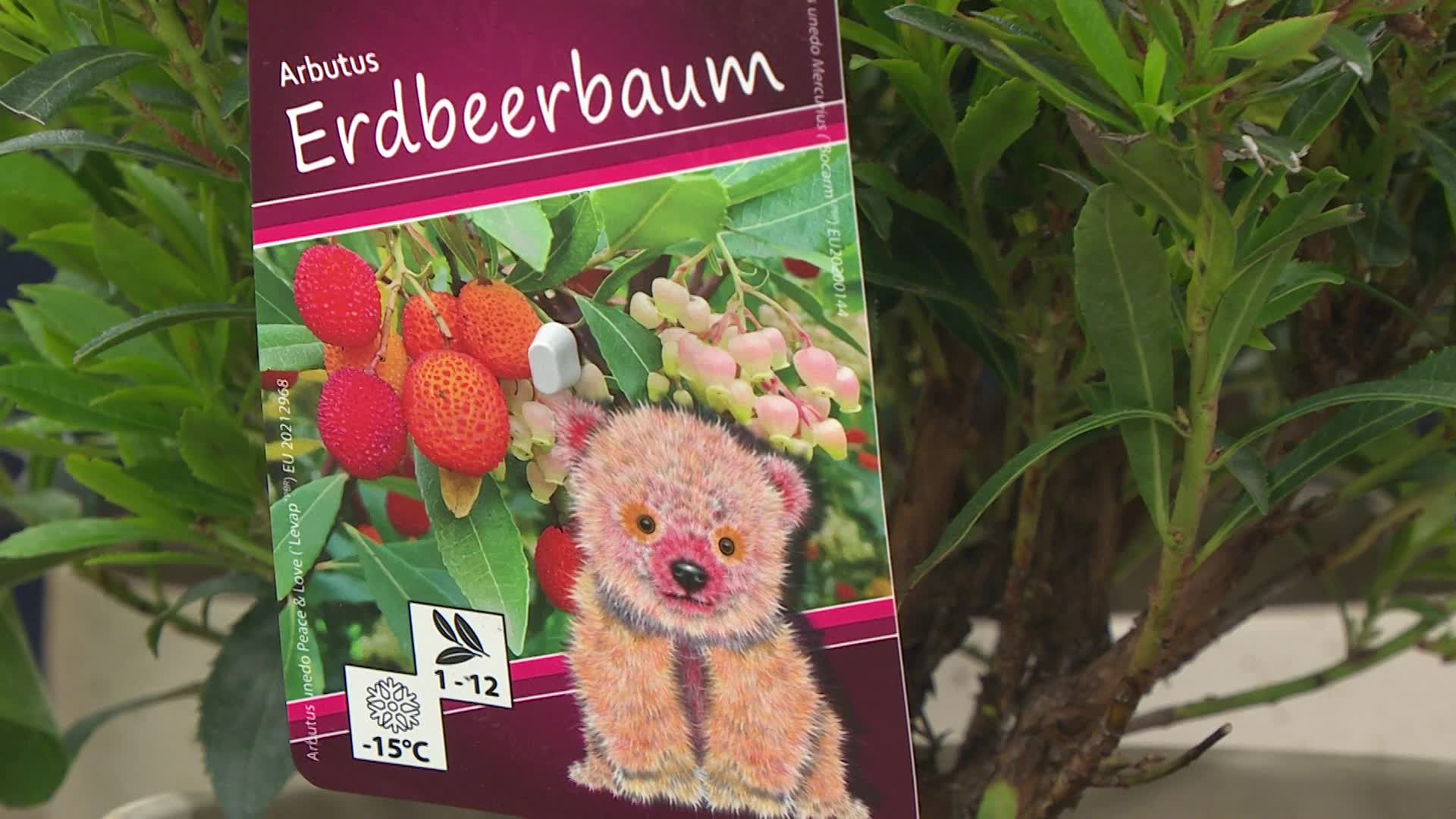 Produktabbildung 3