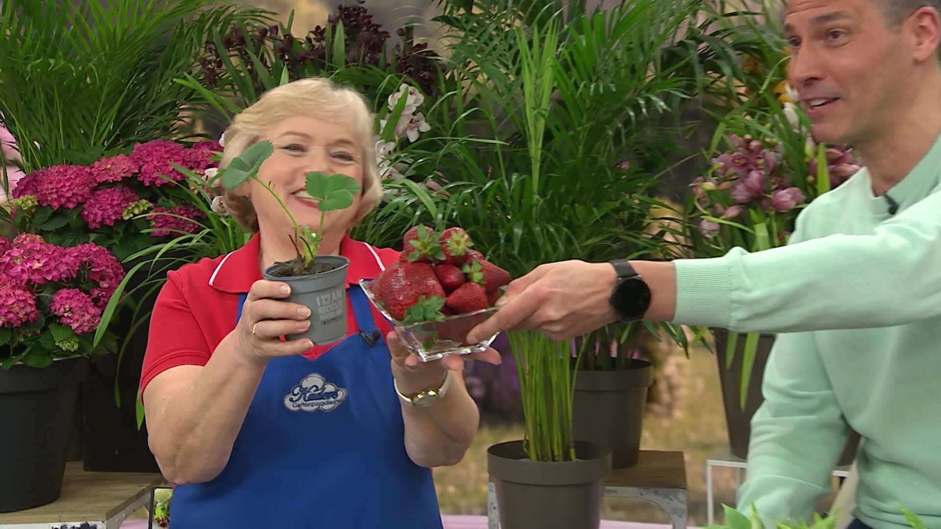 Produktabbildung 4
