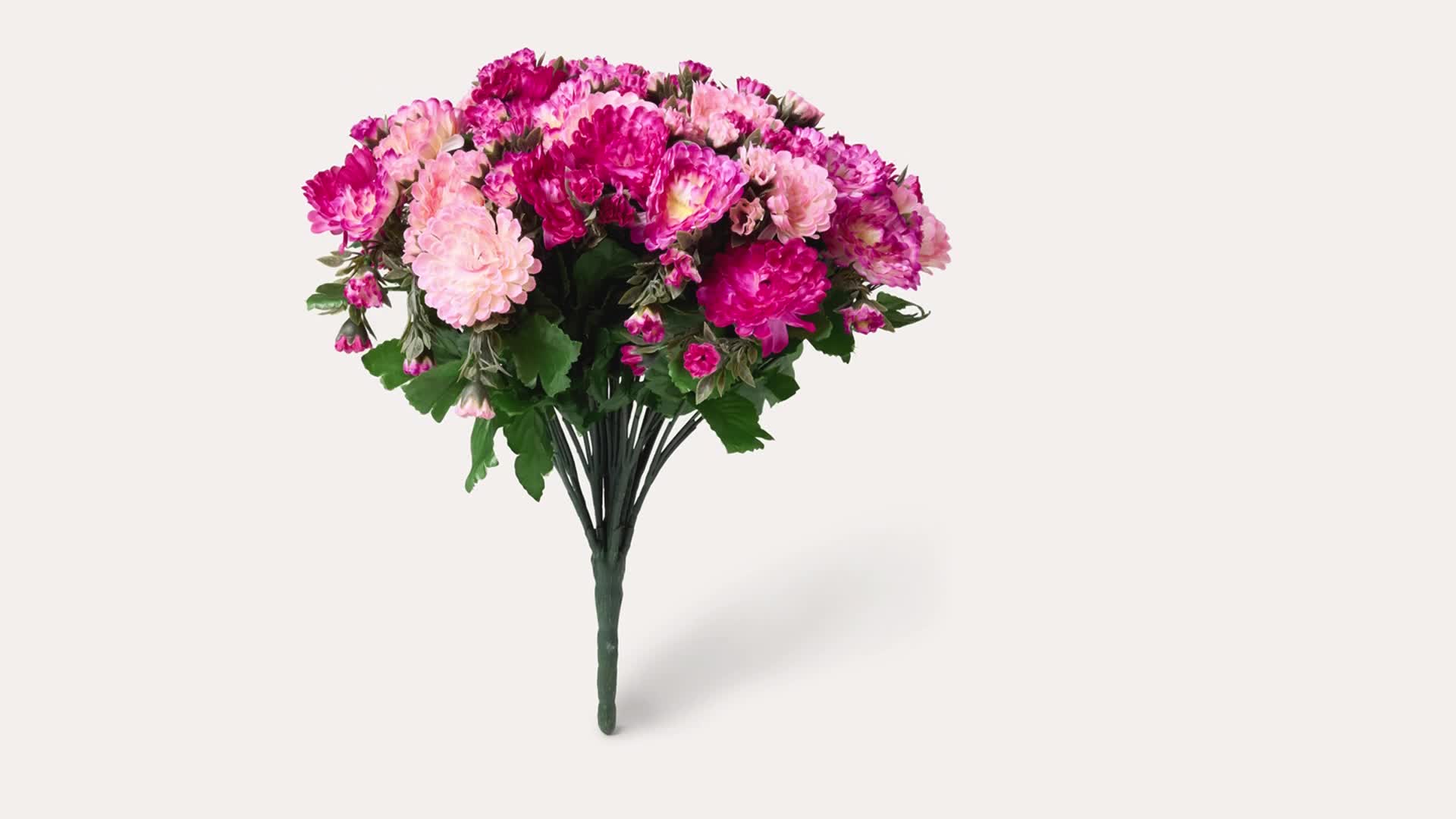 trommelstöckchen samen 100 CRASPEDIA Globosa Trommelstock Trommelschlägel Trommelstock pflanze